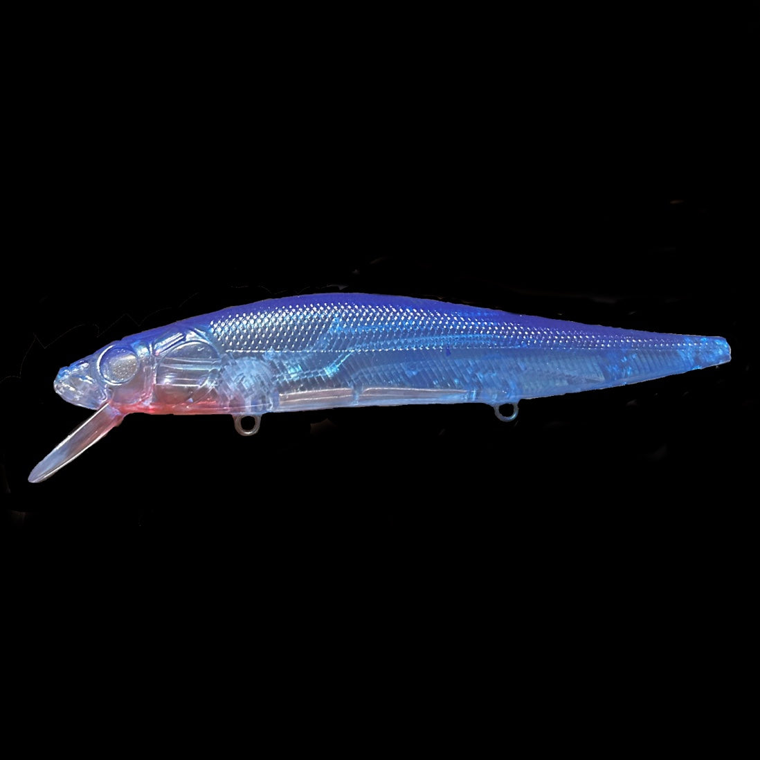 Minnow 5